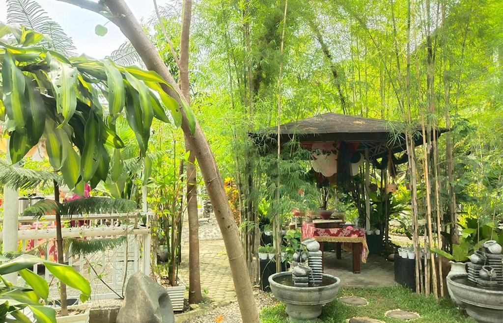 New The Heritage Resort & Restaurant Bukit Lawang Bandartelu Esterno foto