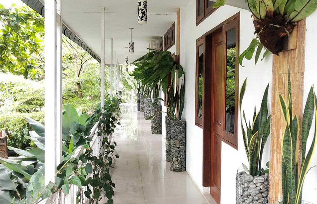 New The Heritage Resort & Restaurant Bukit Lawang Bandartelu Esterno foto